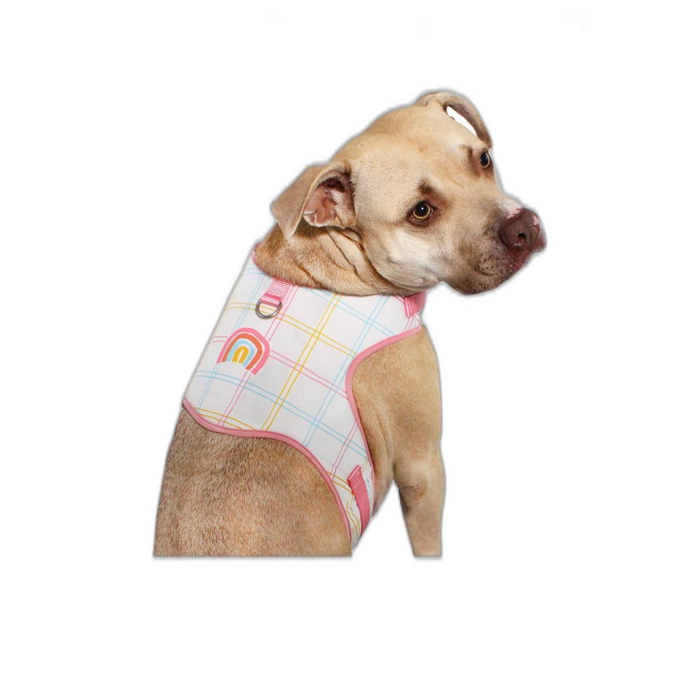 Vibrant Life Harness, Rainbow Window Pane, S